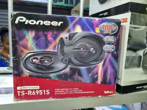 Pioneer 6"*9" 400W Midrange TS-R6951S