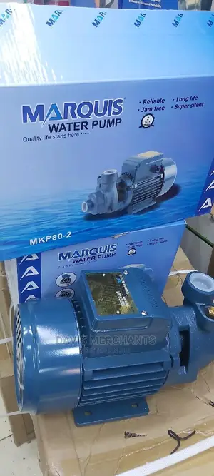Booster Pump With 33M Head