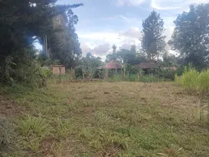 Karatina/Kanjuri 1 Acre