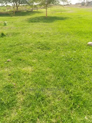 Half (1/2) Acre at Thaitha Muumandu.