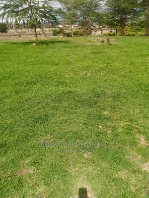 Prime 10 Acres at Konza Malili