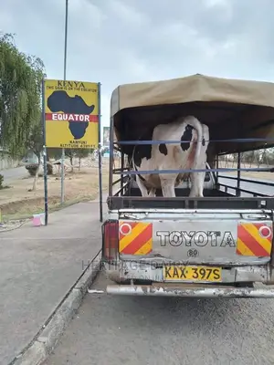 Cow Delivery Countrywide