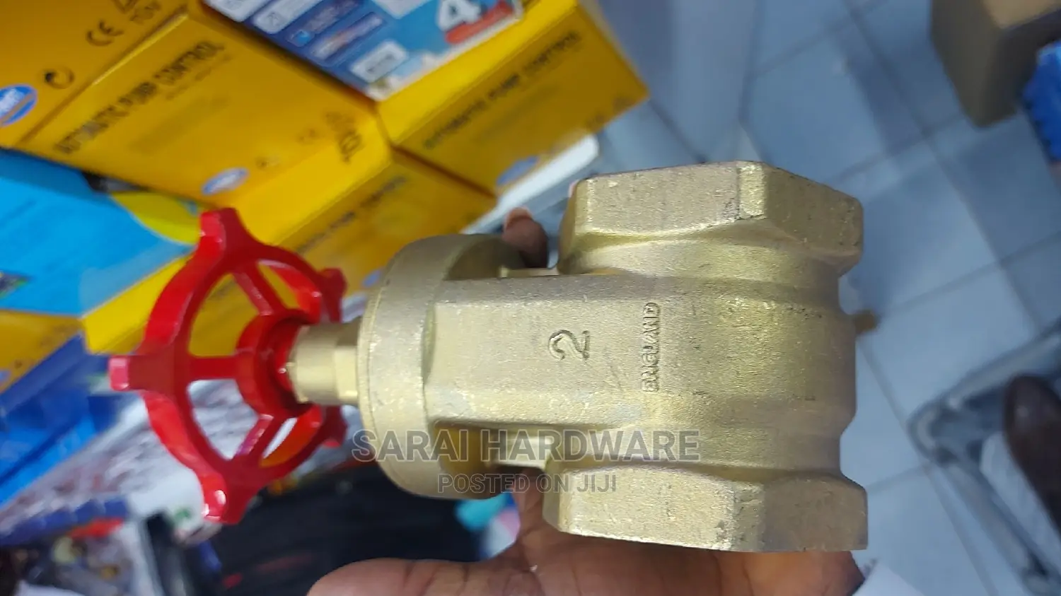2"Peglar Gate Valve