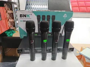 4 in 1 Wireless Microphone