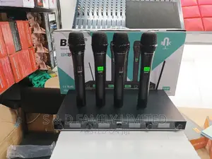 4 in 1 Wireless Microphone