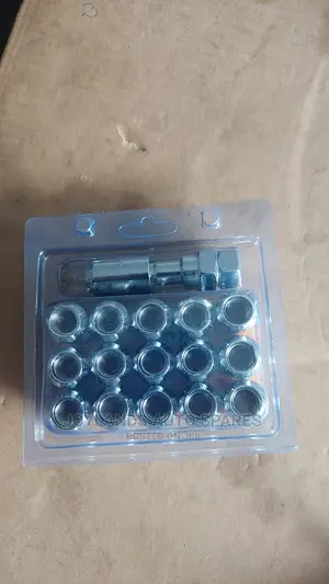 Wheel Lock Nuts