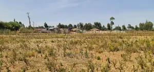 1⁄4 Plots for Sale in Eldoret Royalton New Tarmac