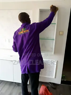 Interior Cabinet Cleaning
