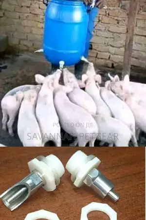 Pig Piglet Automatic Nipple Drinkers With Back Nut
