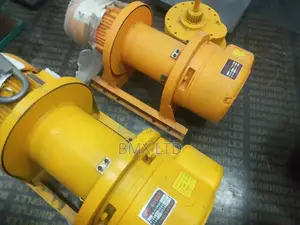 Electric Hoist Motors