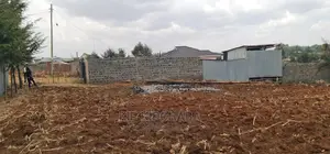 1⁄4 Plot for Sale in Kipkorgot Misoi in Eldoret