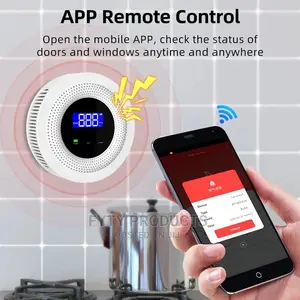 Smart WIFI Gas Leak Sensor