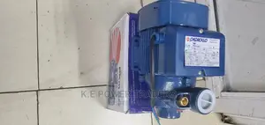 Economical 0.5hp Pedrollo Booster Pump
