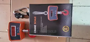Quality 500kg Crane Scale