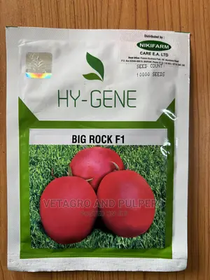 Hy-gene Tomato Big Rock F1 10,000 Seeds