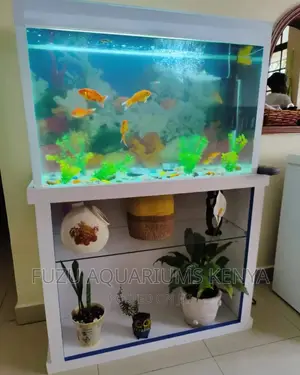 Lively Home Aquarium With Decor