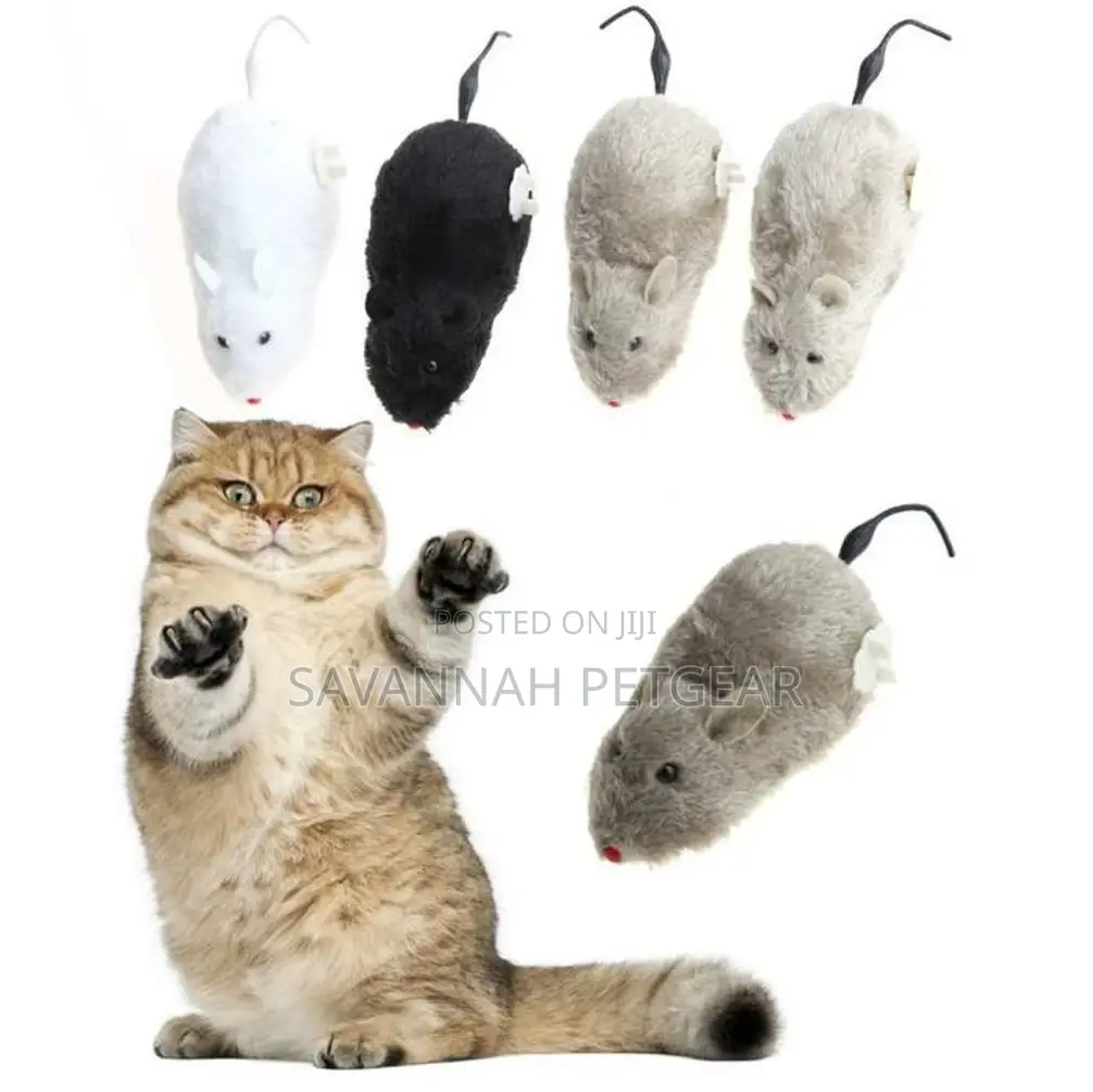 Interactive Cat Toy – Moving Mouse