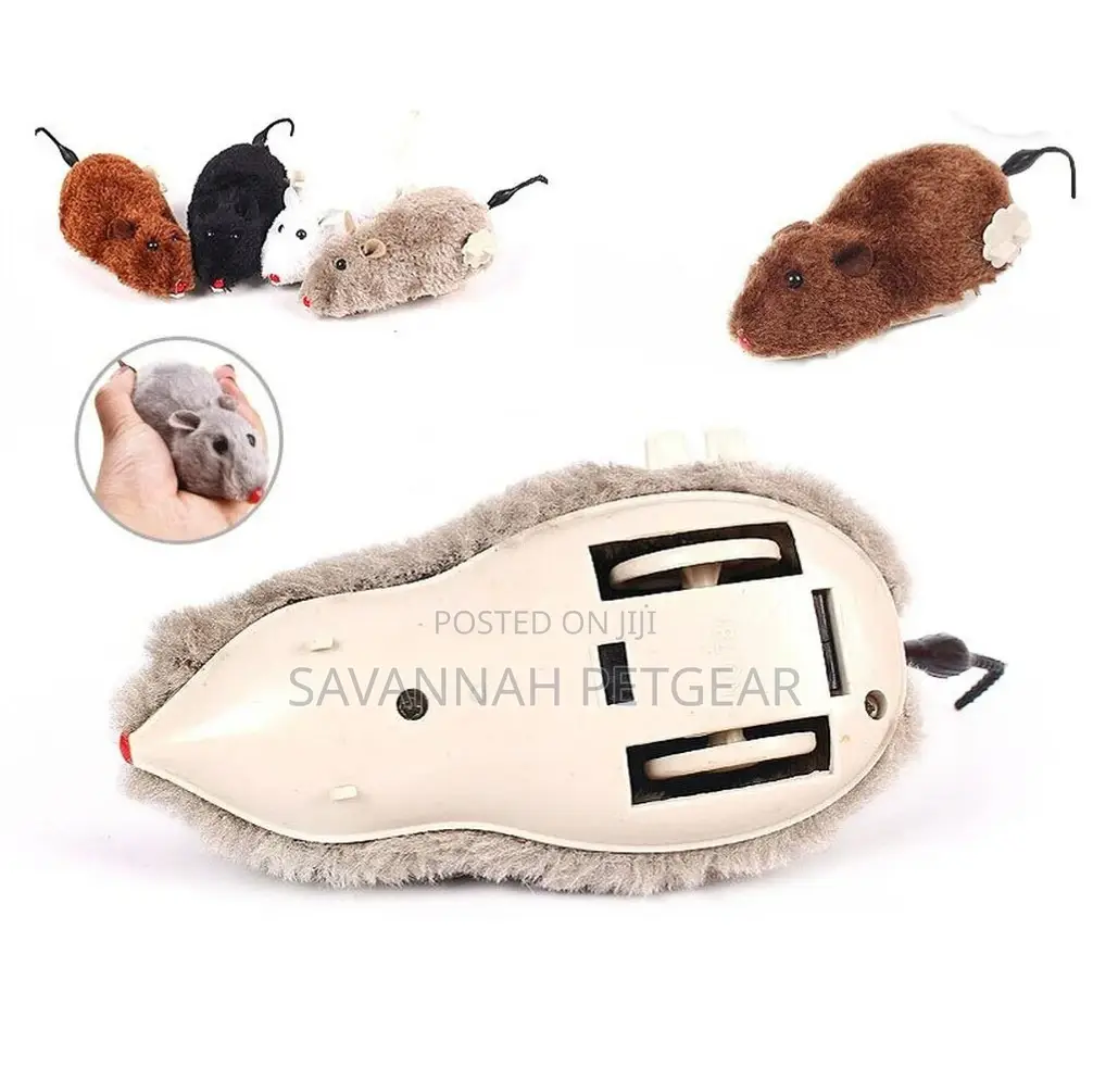 Interactive Cat Toy – Moving Mouse