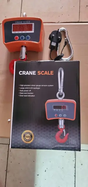 500kg Crane Scale