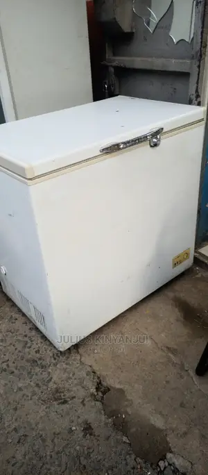 300l Deep Freezer