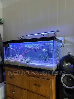 Stand Alone Aquarium