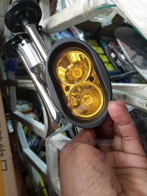 Oval Led Bulb
