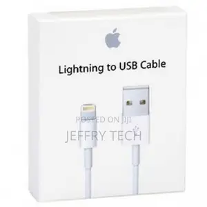 Apple Official Lightning to USB Cable