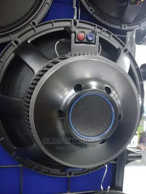 RCF Bass Speaker Naked
