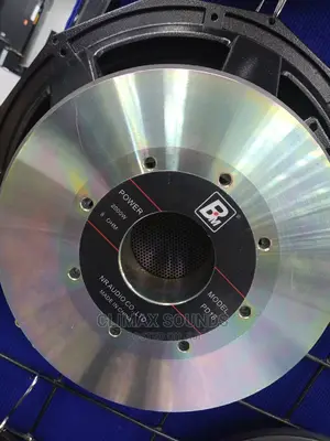 PD 18 Bass Speaker Naked