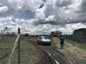 100 By100plot Katani