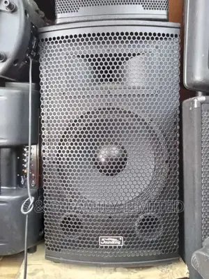 Soundking 15 Inch Speaker
