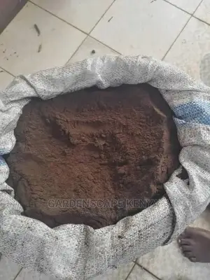 Vanilla Powder Per Kg