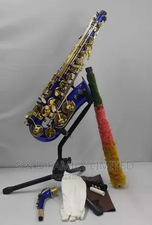 Selma Blue Altosaxophone