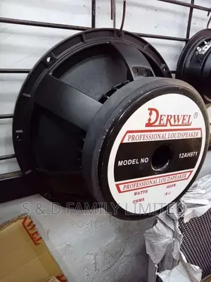 12 Inches Derwel Midbass Speakers 12AH971