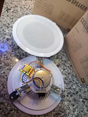 8" Audio Ceiling Speakers