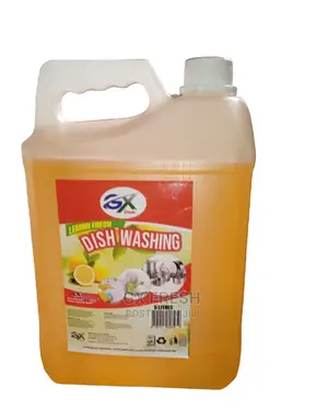 Dish Washing Liquid.