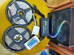 10m LED Snake Lights