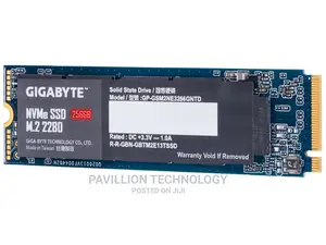256ssd Nvme