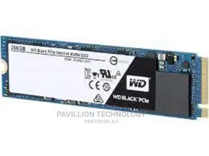 256ssd Nvme
