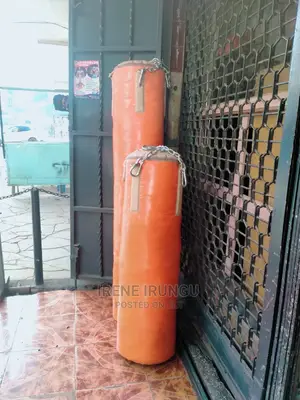 Kick Boxing/Punching Bag