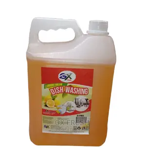 Dishwashing Liquid Soap