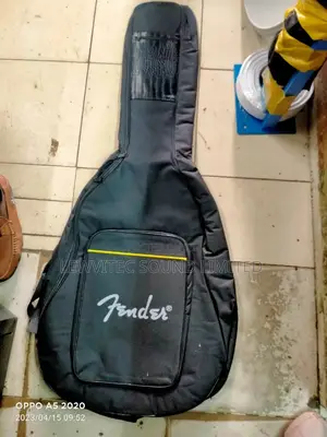 Fender Bag Musical Instruments
