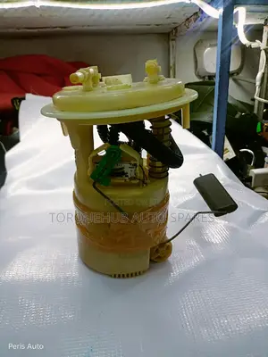 Peugeot 307/407 Fuel Pump
