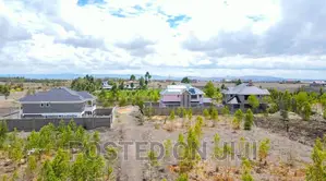 Ready to Settle Kamulu Plots.^CN
