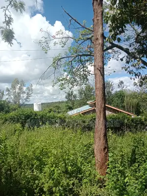 An Acre of Land on Sale at Sabasaba