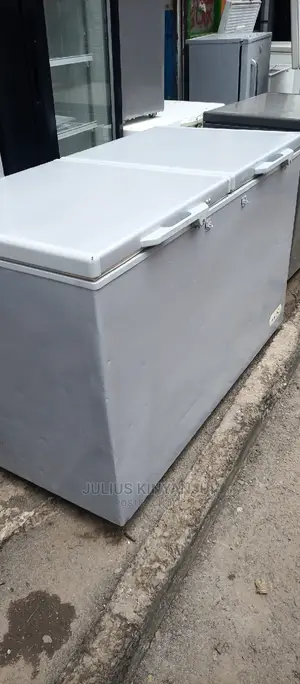 Double Door Freezer