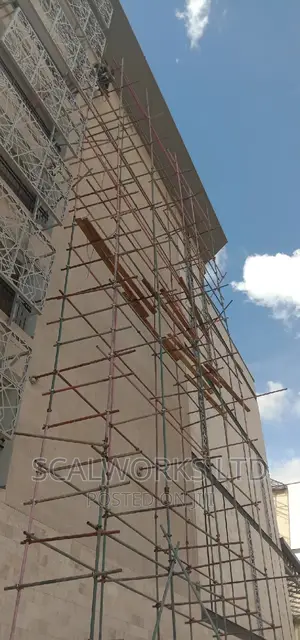 Expert Scaffolders