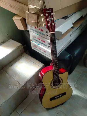 Acoustic Guitar