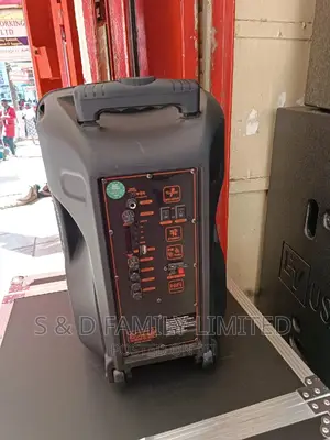 12 Inch Rechargeable Portable PA Speaker