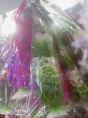 Ornamental Flowers